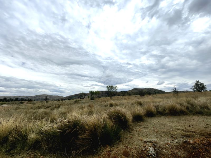 A wide-angle view of open, undeveloped residential land featuring natural grasses, scattered trees, and distant rolling hills under a cloudy sky.