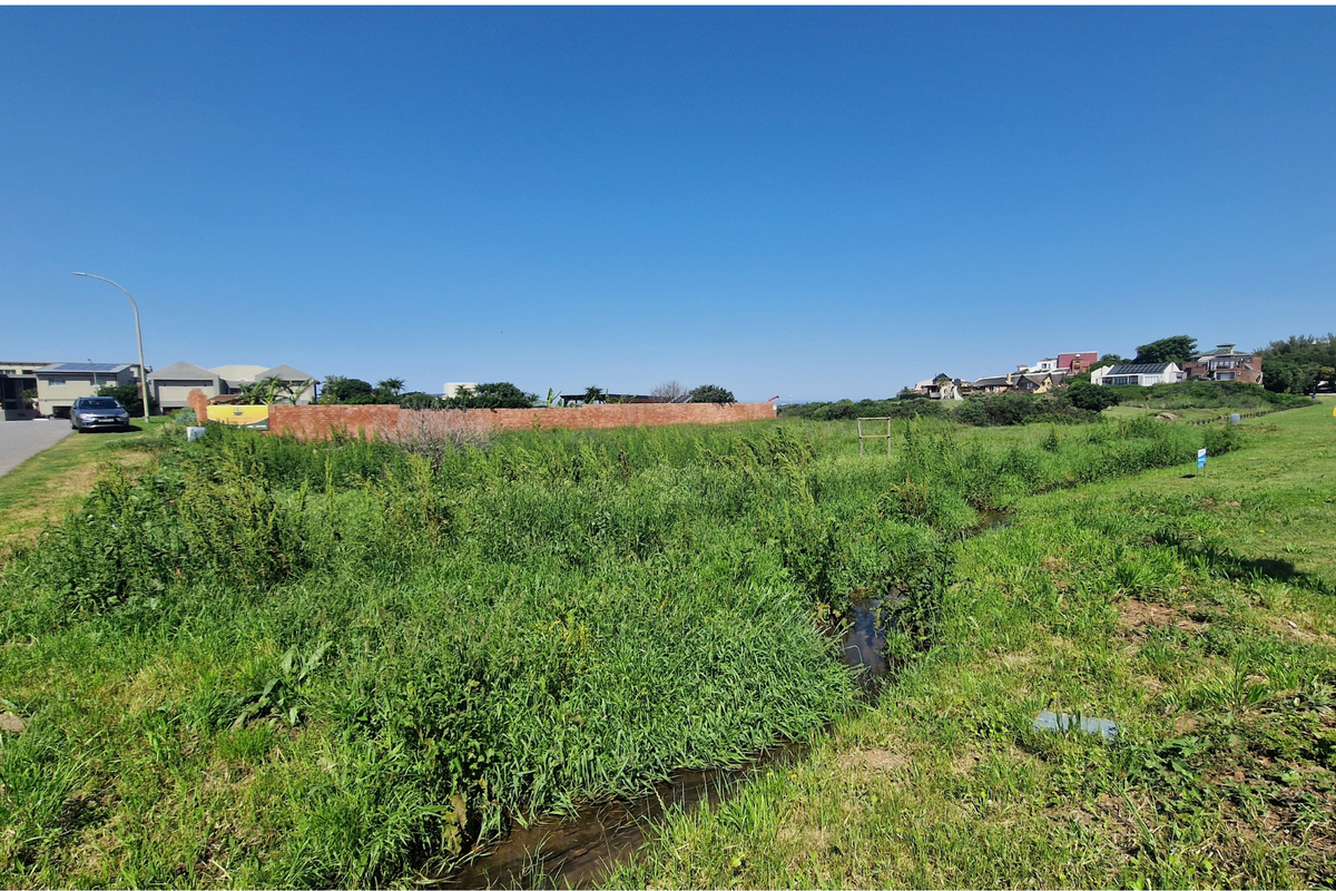 A vacant residential plot featuring natural vegetation, a small drainage channel, and a brick boundary wall, situated in a developed neighborhood.