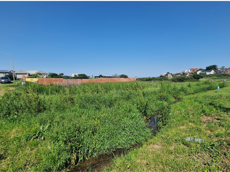 A vacant residential plot featuring natural vegetation, a small drainage channel, and a brick boundary wall, situated in a developed neighborhood.