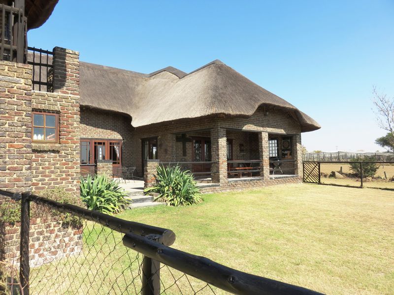 Rear view of a face brick house featuring a traditional thatched roof and a spacious covered patio overlooking the garden.