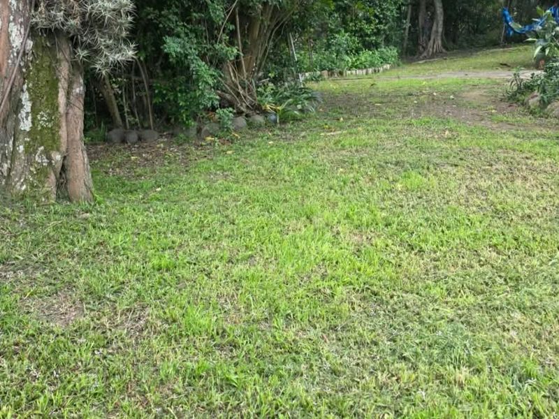 A view of the established garden area featuring mature trees and a grass lawn on the small holding property.
