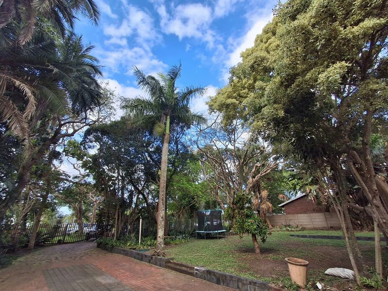 A spacious garden area featuring mature trees, a paved driveway, and a perimeter fence, offering a private and established outdoor setting.