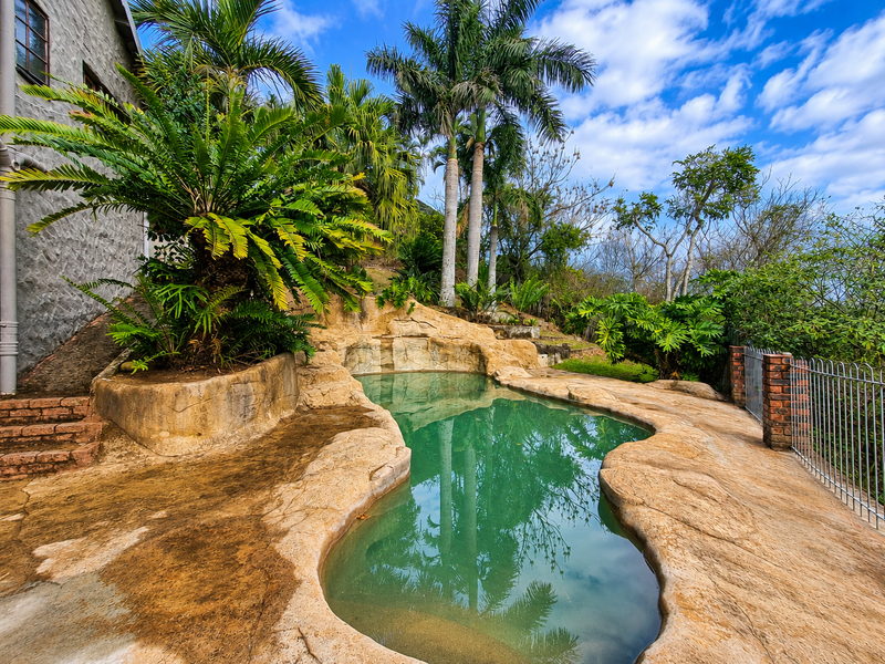 A naturalistic rock-feature swimming pool set within a landscaped garden area, featuring stone-textured surrounds and established tropical palm trees.