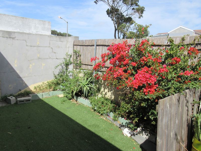 A small rear garden area featuring artificial turf, established bougainvillea, and a concrete boundary wall requiring maintenance.