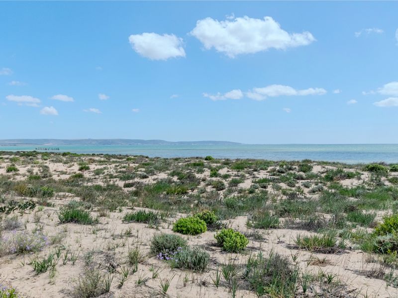 A scenic view of the coastal landscape featuring natural sand dunes and native vegetation overlooking the ocean.