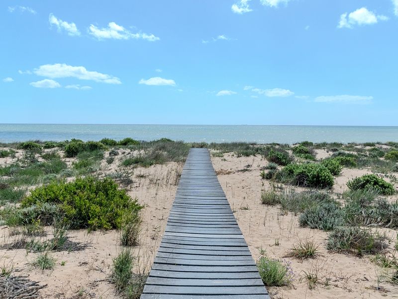 A scenic wooden boardwalk leading through coastal dunes toward the ocean horizon.