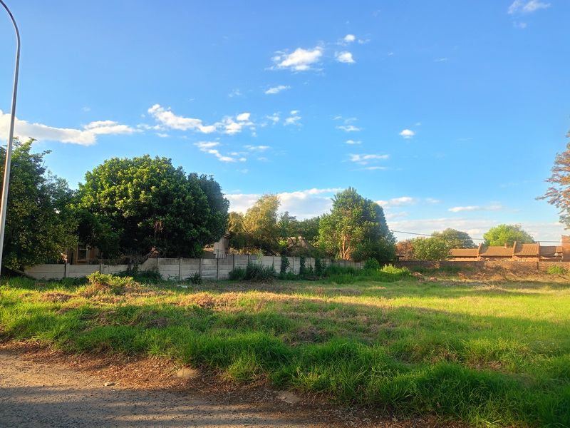 A vacant residential plot featuring established trees, grass cover, and a precast concrete boundary wall, offering a clear space for future development.