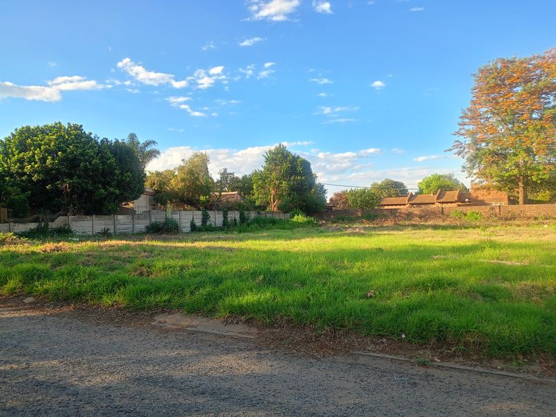A vacant residential plot featuring established trees and perimeter boundary walls, offering a clear space ready for development.