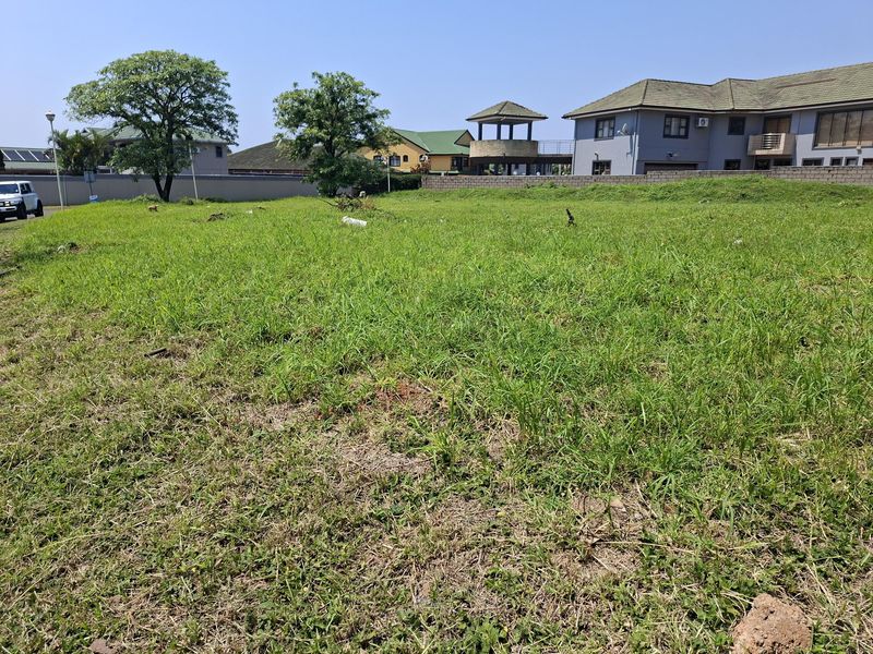 A vacant residential plot of land featuring a grass lawn and boundary wall, situated in a developed neighborhood.