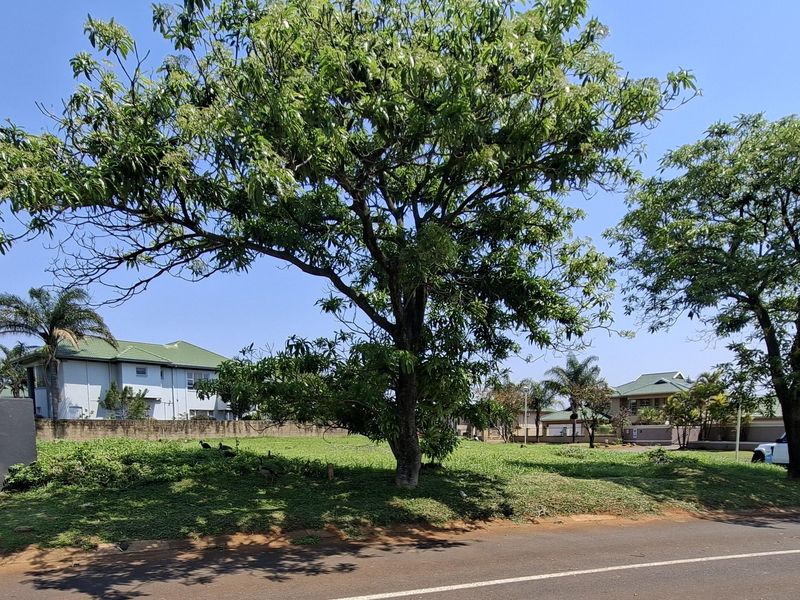 A vacant residential plot featuring a well-maintained grass lawn and mature trees, bordered by a perimeter wall in a quiet neighborhood setting.