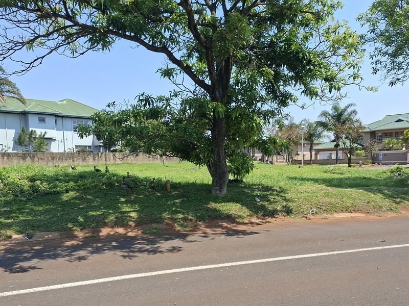 A street-level view of a vacant residential plot featuring established trees and a grass lawn, situated in a developed neighborhood.