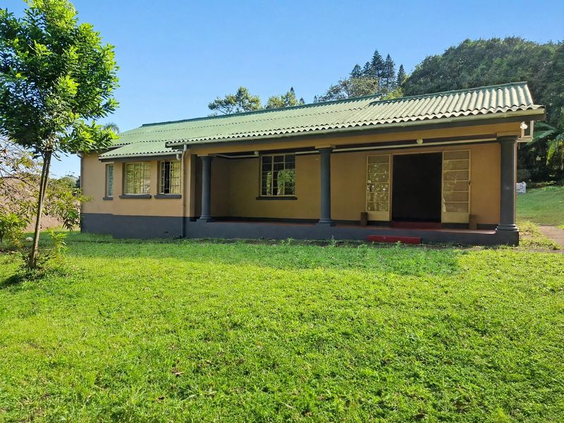 Rear view of a single-story house featuring a covered patio, structural columns, and a corrugated metal roof set within a spacious garden.