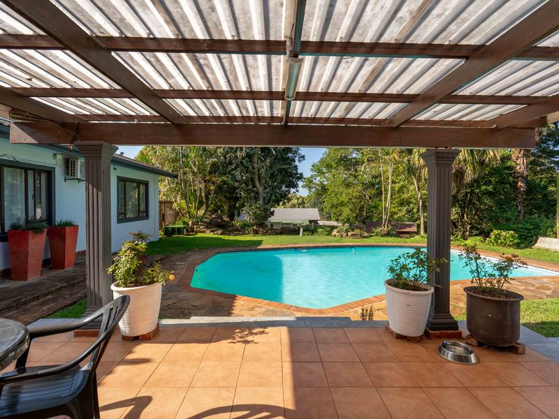 Covered outdoor patio featuring a timber pergola with translucent roofing, overlooking a private swimming pool and landscaped garden area.