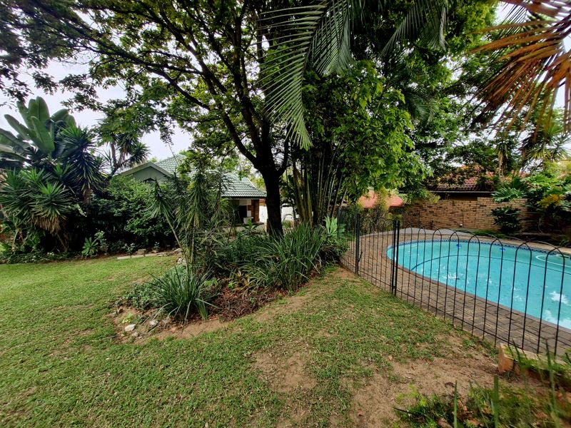 A private backyard featuring a swimming pool with paved surround, enclosed by metal fencing and mature garden landscaping.