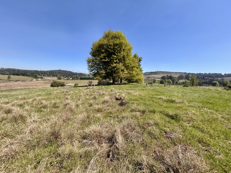 Expansive open land on a small holding featuring natural grass, mature trees, and perimeter wire fencing with scenic rural landscape views.