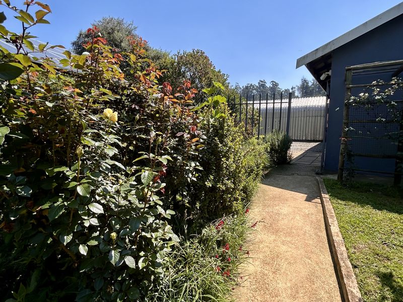 A well-maintained garden path lined with established rose bushes and greenery, leading towards a secure fenced area and building exterior.
