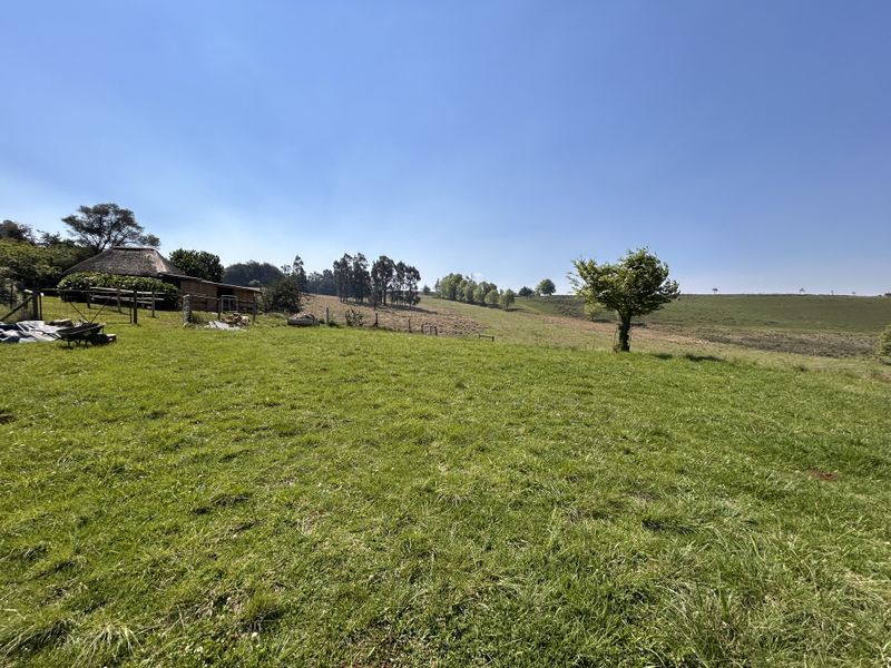 Expansive open pasture and garden area on a small holding, featuring a distant thatched roof structure and established trees under a clear sky.