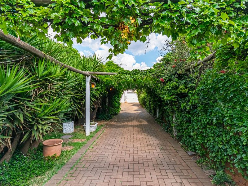 A charming paved driveway lined with lush greenery and a natural vine-covered pergola, creating a shaded and inviting entrance to the property.