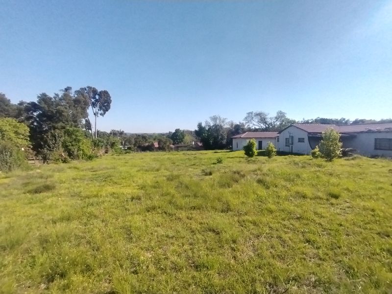 A wide-angle view of a large, grassy residential plot with mature trees and neighboring structures visible in the background.