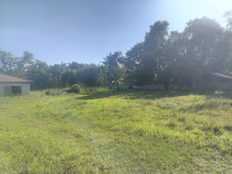 A spacious, undeveloped residential plot featuring established trees, perimeter fencing, and an overgrown grass lawn, offering potential for future development.