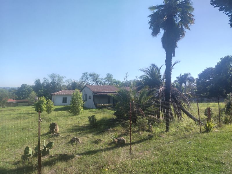 A view of a residential property featuring a house with a tiled roof, surrounded by a large grassy yard and mature palm trees.