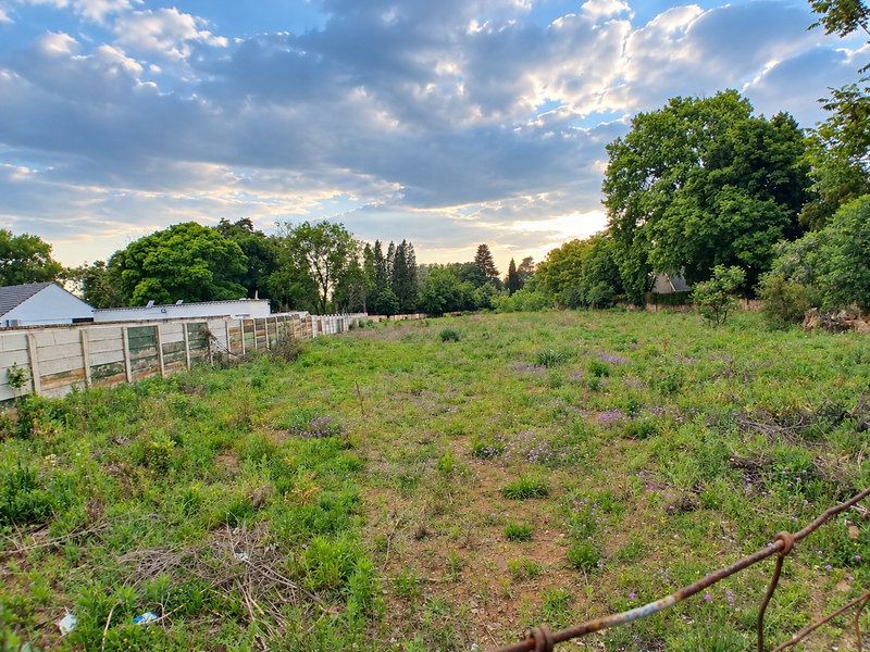 A vacant residential plot featuring mature trees, natural vegetation, and a precast concrete boundary wall.