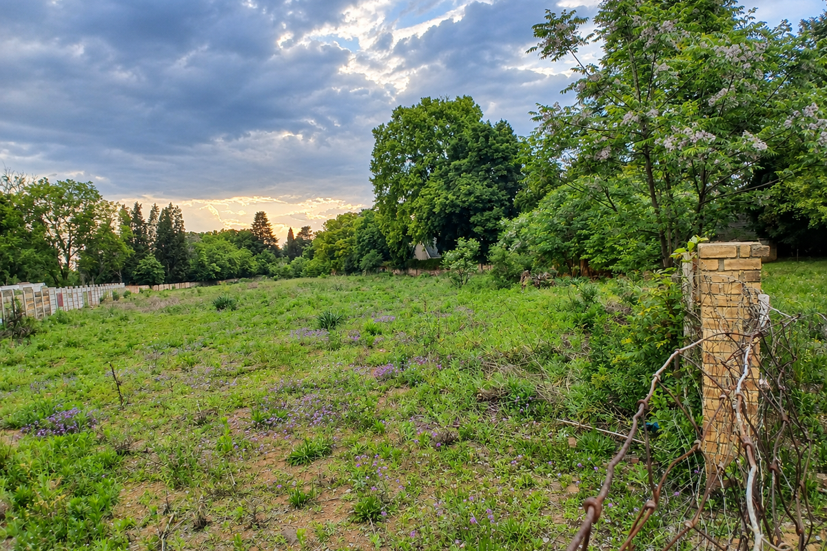 A view of a vacant residential plot featuring mature trees, wild vegetation, and existing boundary fencing with a brick pillar.