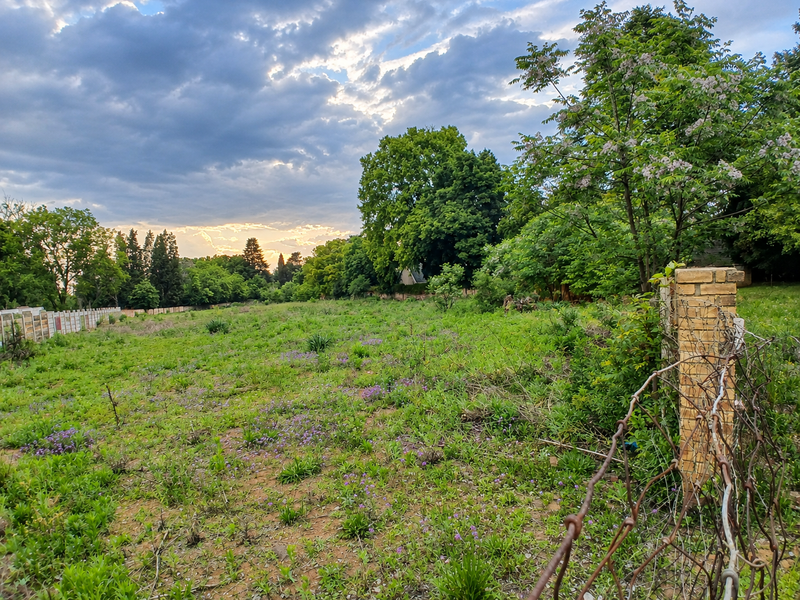 A view of a vacant residential plot featuring mature trees, wild vegetation, and existing boundary fencing with a brick pillar.