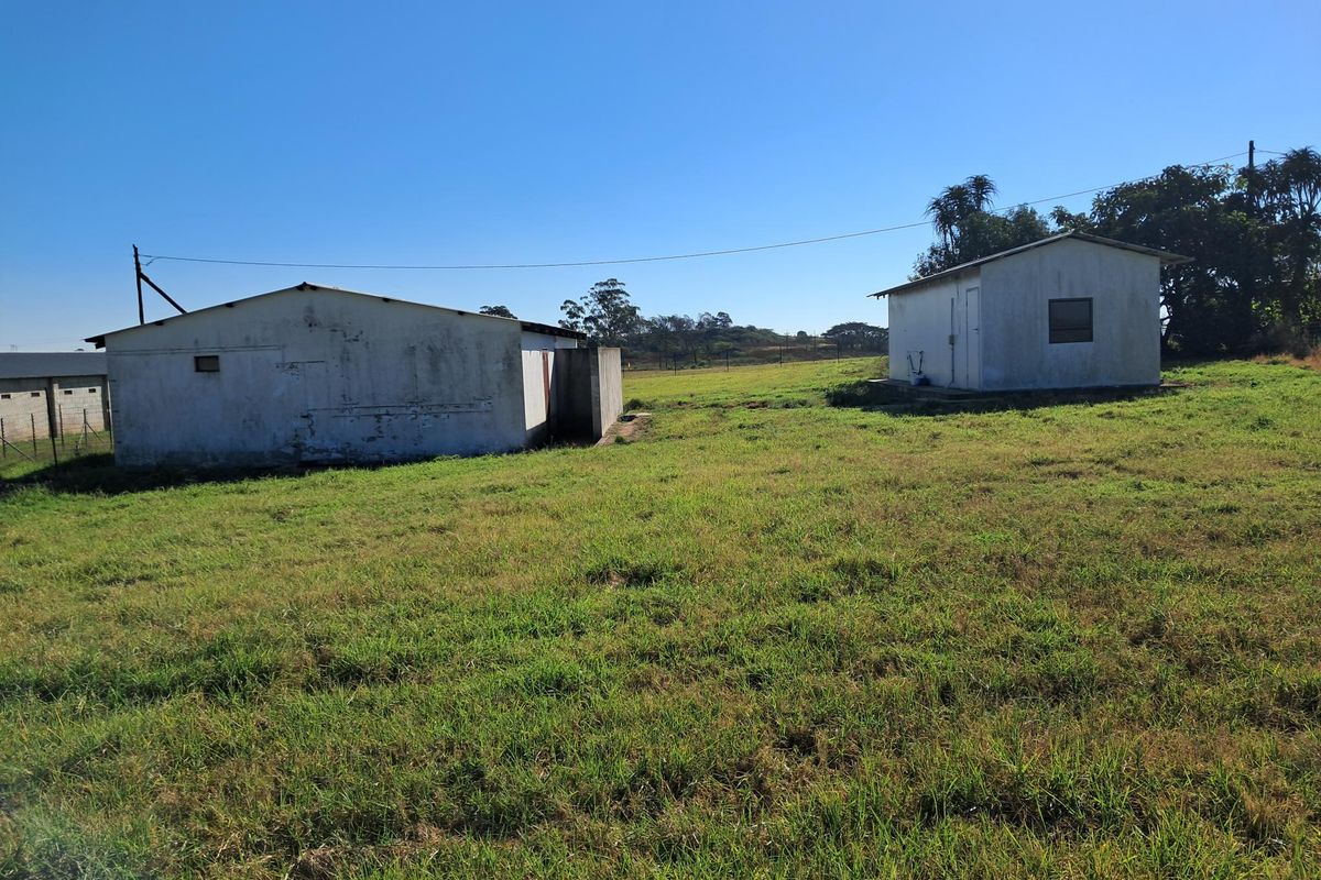 A view of the rear grounds featuring two detached outbuildings set within a large open grass field on the small holding.