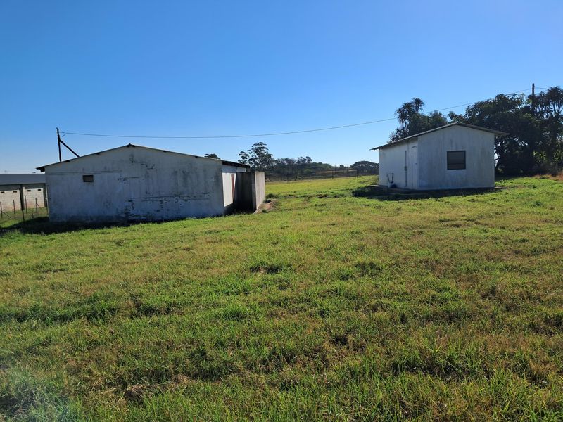 A view of the rear grounds featuring two detached outbuildings set within a large open grass field on the small holding.