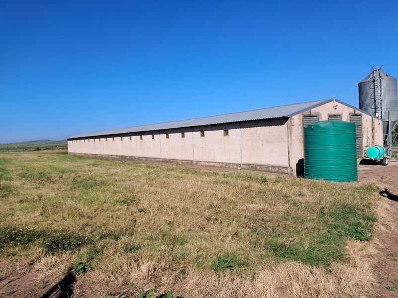 Exterior view of a large agricultural shed or poultry house featuring a metal roof, water storage tank, and adjacent silo on a rural small holding.