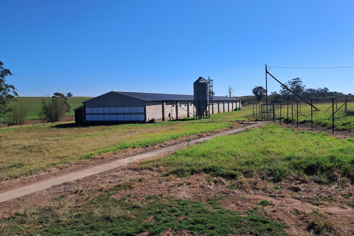 A view of a large agricultural shed on a small holding, featuring a metal silo, electric fencing, and a concrete access path.
