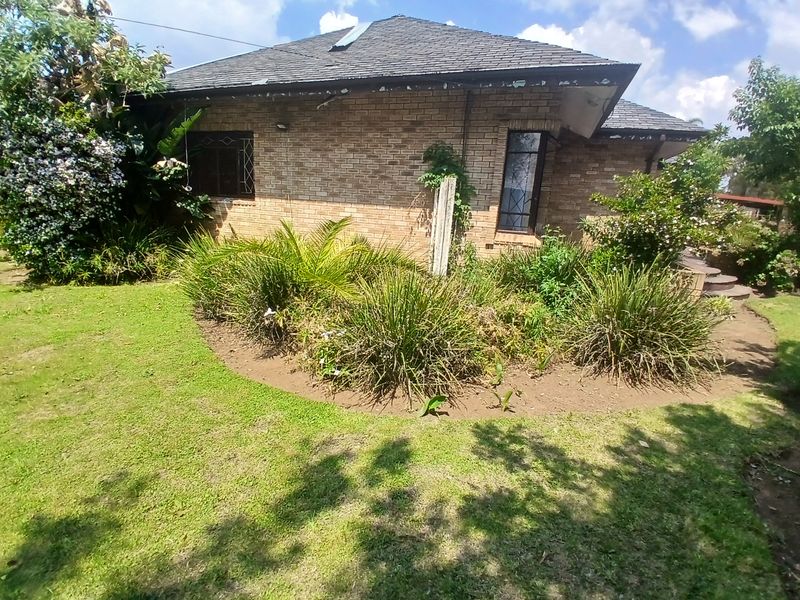 Rear view of a brick house featuring a tiled roof, security bars on windows, and an established garden area.