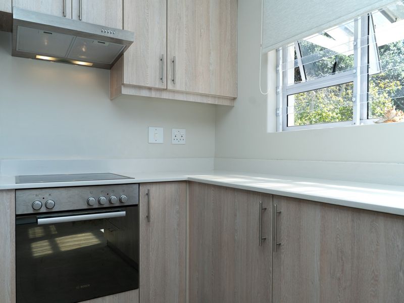 A clean, modern kitchen featuring light wood-grain cabinetry, a built-in electric oven and hob, extractor fan, and ample stone countertop workspace.