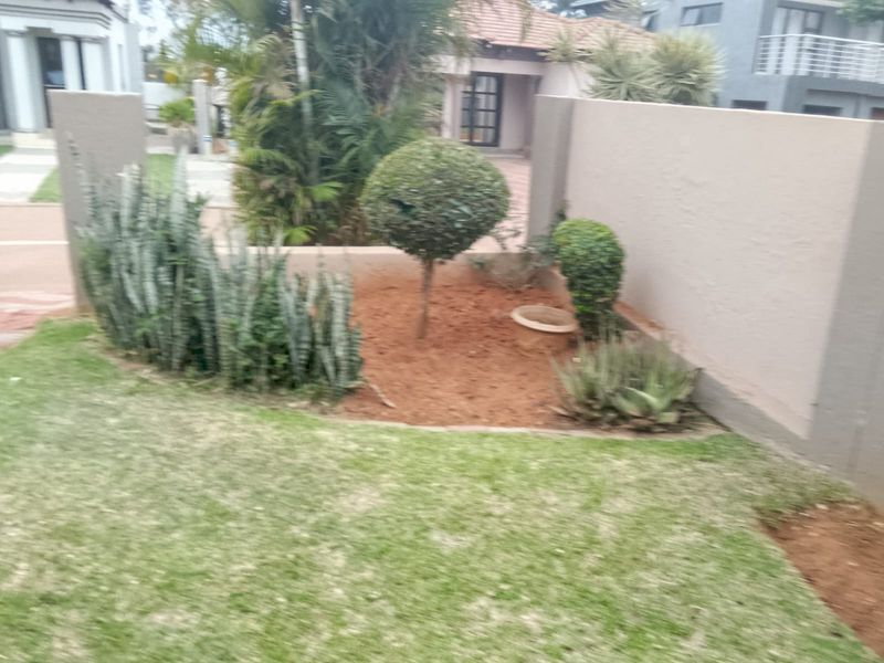 A small residential garden area featuring a boundary wall and established landscaping with a lawn and garden bed.
