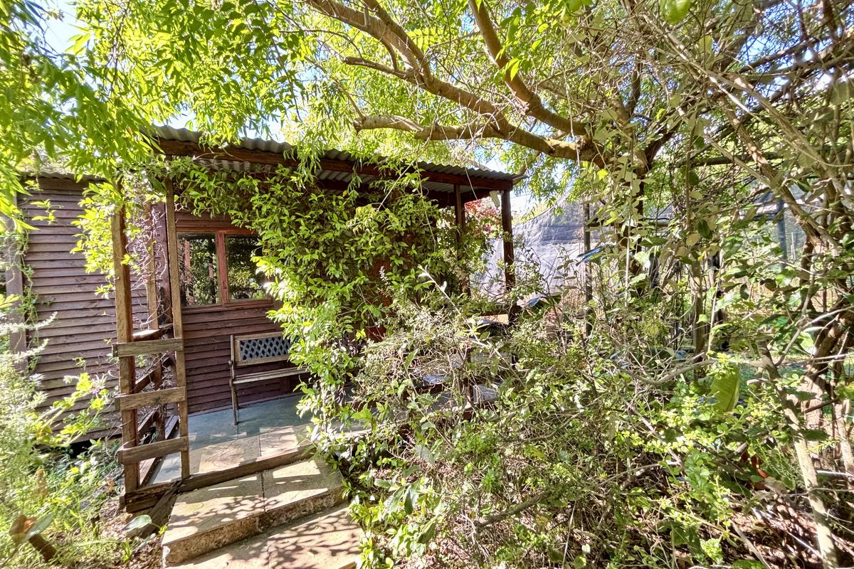 A rustic timber structure with a covered patio and stone steps, surrounded by dense, overgrown garden foliage.