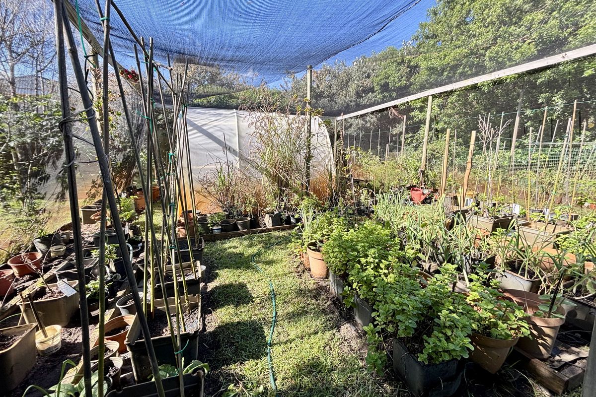 A garden area featuring a large shade netting structure with timber supports and a small greenhouse tunnel for plant cultivation.