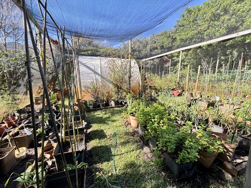 A garden area featuring a large shade netting structure with timber supports and a small greenhouse tunnel for plant cultivation.