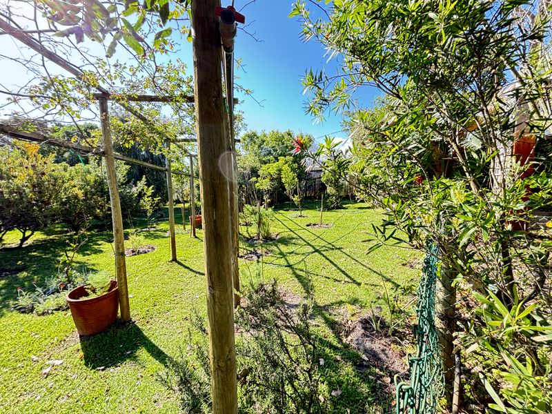 A lush residential garden featuring a wooden pergola structure, established trees, and a wire mesh boundary fence.