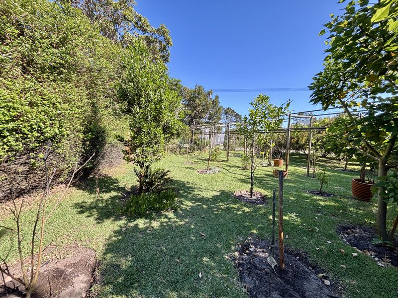 A well-maintained residential garden featuring established trees, a lush lawn, and a wooden trellis structure for climbing plants.
