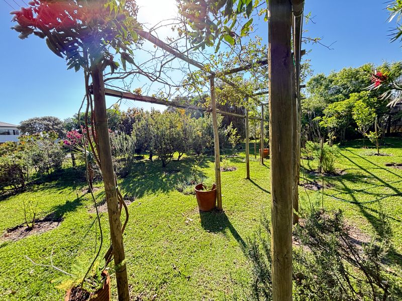 A well-maintained residential garden featuring a wooden pergola structure, established trees, and lush green lawn space.