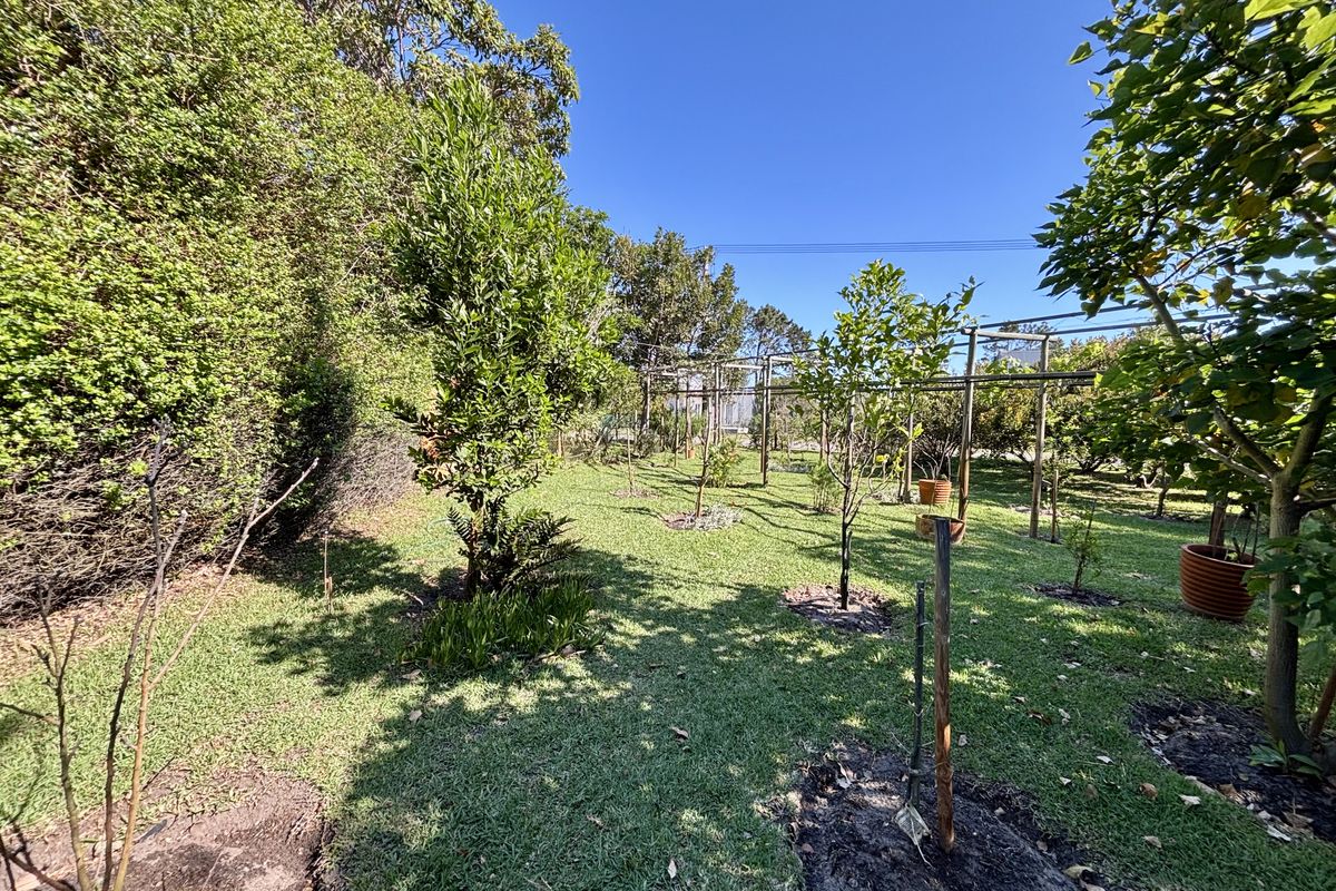A well-maintained residential garden featuring established trees, a lush lawn, and a wooden trellis structure for climbing plants.