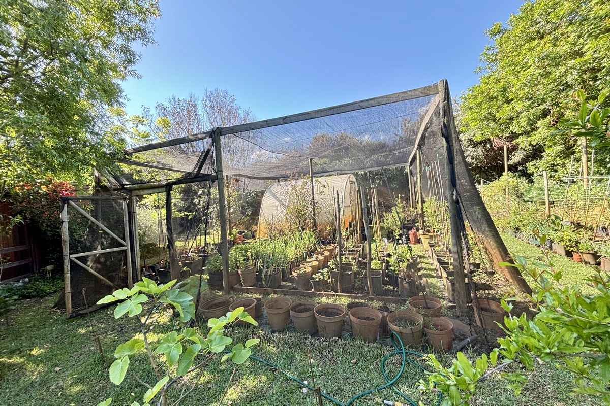 A residential garden featuring a large shade netting structure and a small polytunnel, providing a dedicated space for plant cultivation.