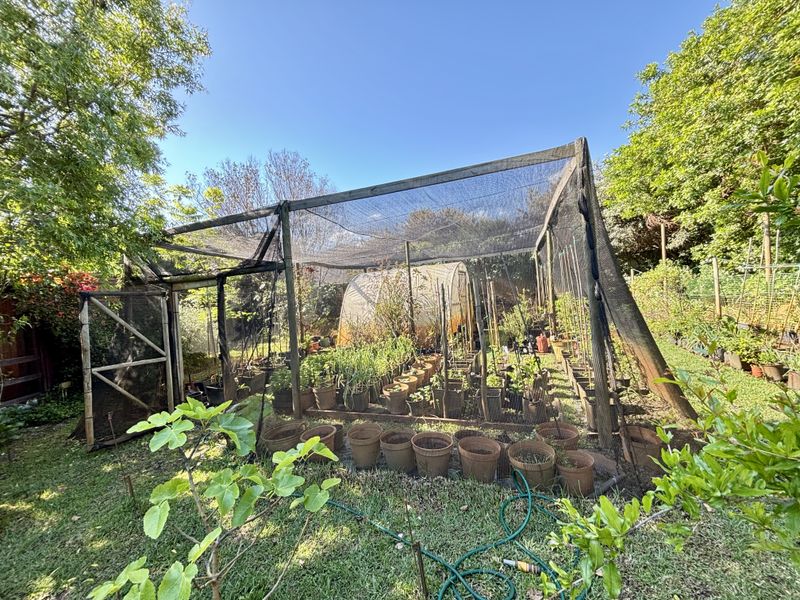 A residential garden featuring a large shade netting structure and a small polytunnel, providing a dedicated space for plant cultivation.