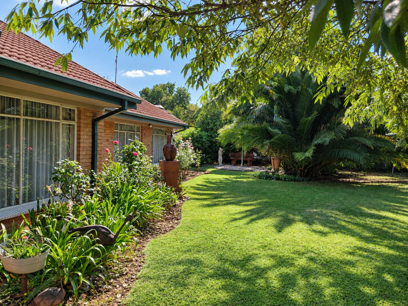 A well-maintained rear garden featuring a brick house facade, tiled roof, large windows, and established landscaping with a mature palm tree.