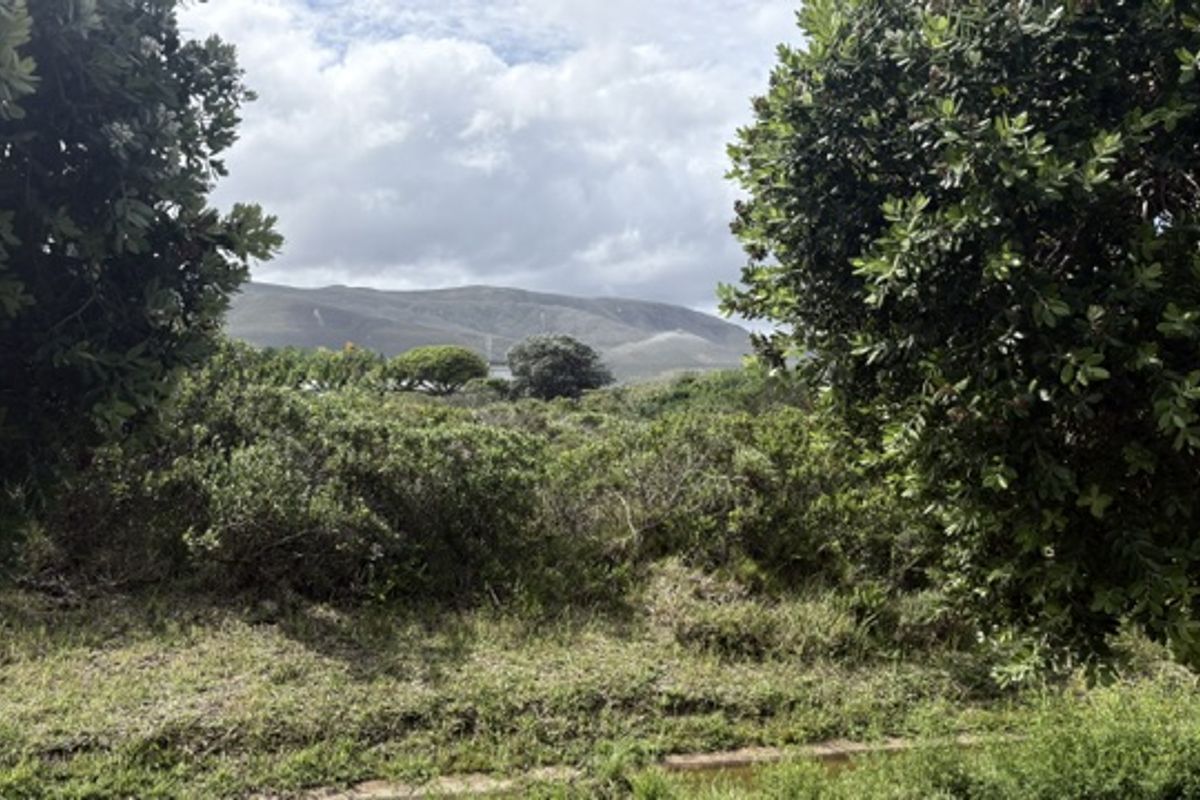 A scenic view of the surrounding landscape and mountains, framed by mature trees and natural vegetation on the property.