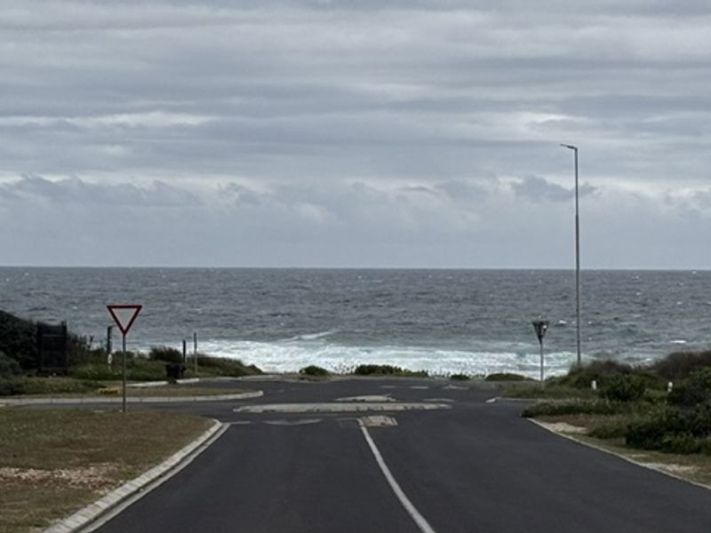 A street view looking towards the ocean, featuring an asphalt road, street lighting, and coastal vegetation.