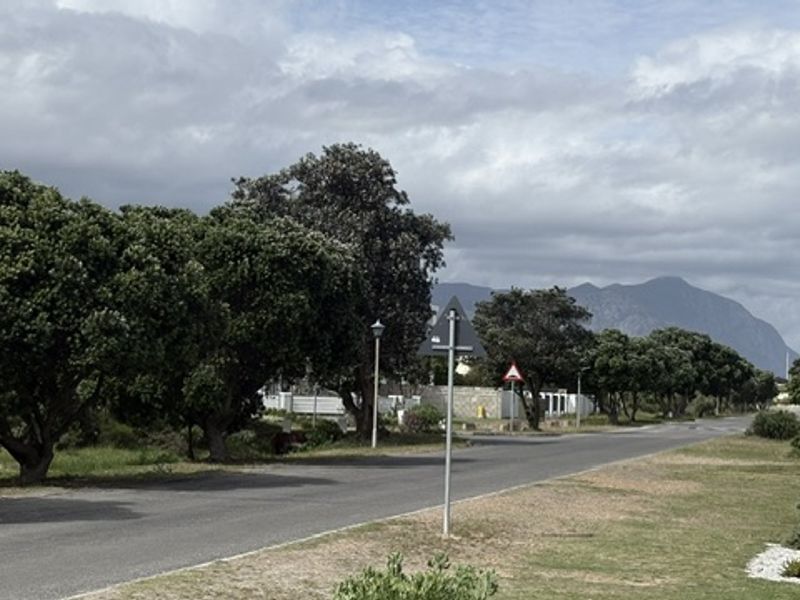 A view of the local street approach featuring mature trees, asphalt road, and mountain views in the distance.
