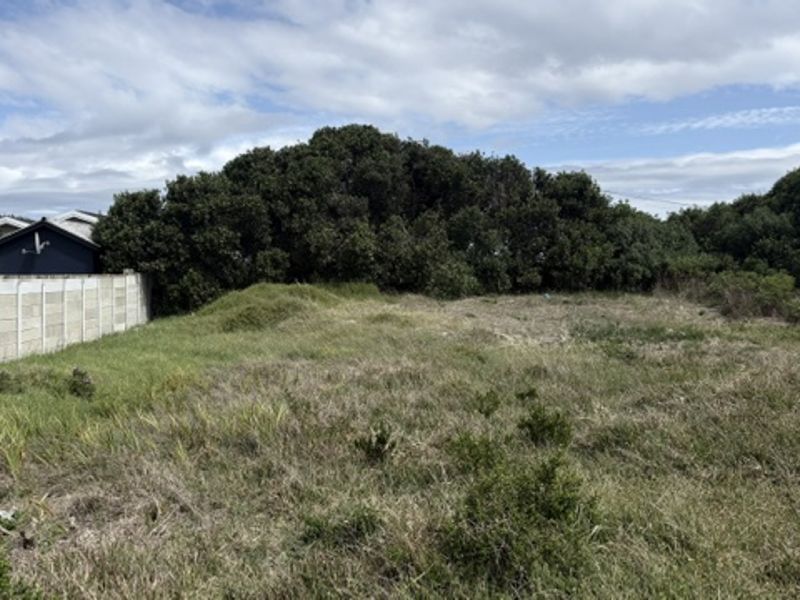 An undeveloped plot of land featuring established trees and a precast concrete boundary wall, offering potential for future landscaping or development.