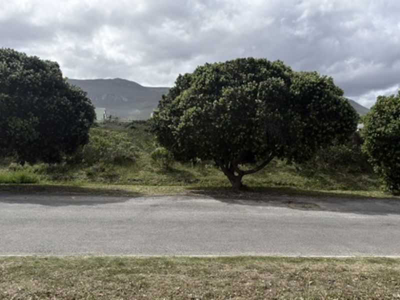 A street-level view of a paved road bordered by mature trees and a sloped, natural landscape with mountain views in the background.